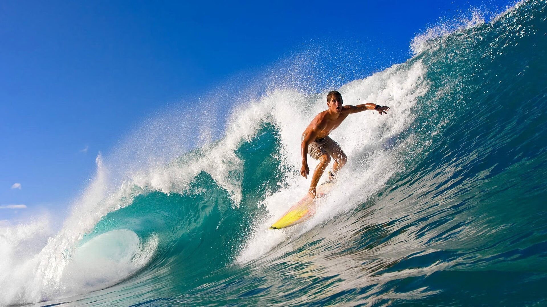 九游-体育科技展亮相国际会展中心，2020年国际体育展会